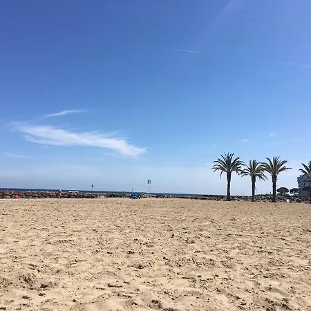 Daire Luxury 3 Piece Garden In Cannes Marina *